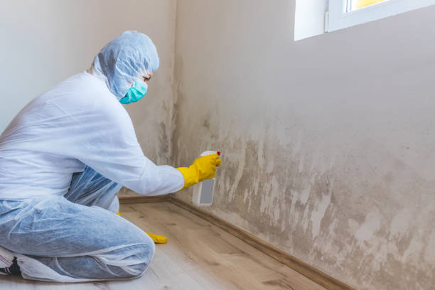 Bathroom Mold Removal assessment in Etters bathroom