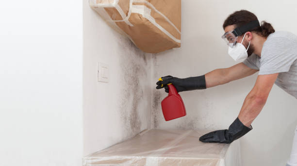 Attic Mold Remediation treatment on roof deck in Etters