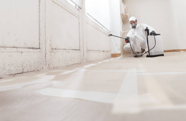 Post-remediation clearance in Etters